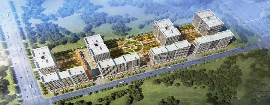 房地产开发板块掀涨停潮，南国置业、天地源等多股涨停